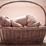 _MG_4600 _MG_4600