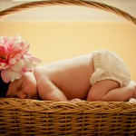 _MG_4620 _MG_4620